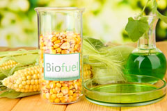 Boquio biofuel availability