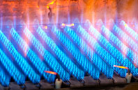 Boquio gas fired boilers